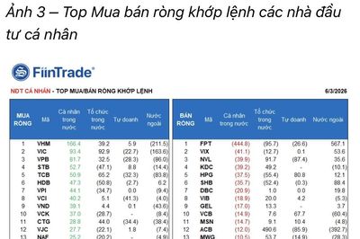 Tổ chức trong nước mua ròng không ngừng, thêm 700 tỷ phiên hôm nay