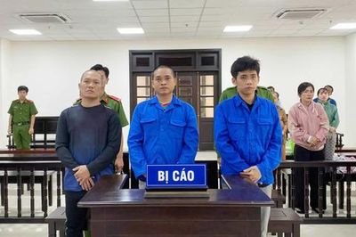 Mua bán 'cỏ Mỹ', 3 thanh niên lãnh 27 năm tù