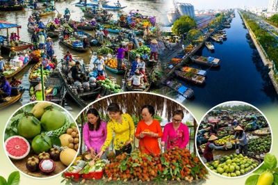 Tuần lễ trái cây 'trên bến dưới thuyền': Đưa đặc sản miền Tây đến gần người tiêu dùng thành phố