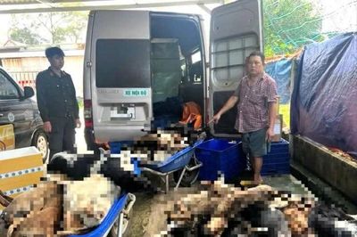 Bắt 9 nghi phạm chuyên trộm chó ở Tây Ninh đưa về TP.HCM tiêu thụ