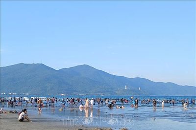 Sức hút mùa du lịch hè Đà Nẵng