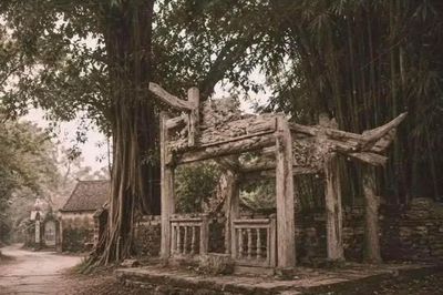 Thực hư 'cổng làng Việt Nam năm 1991' bị so với 'Tàn Chỉ' của Lê Giang