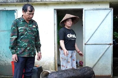 Nà Tấu tiêu hủy hơn 1,5 tấn lợn bệnh và nghi mắc dịch tả lợn châu Phi