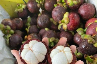 Điều gì xảy ra với cơ thể khi thường xuyên ăn măng cụt?