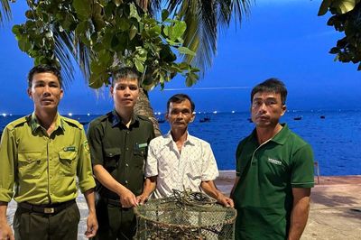 Trăn gấm quý, hiếm được tái thả về rừng Khu Bảo tồn Cù Lao Chàm
