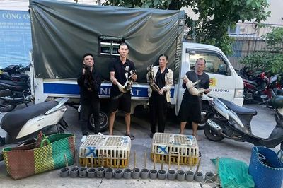Công an TPHCM tạm giữ 10 người sau khi khám xét bãi xe Trúc Quỳnh