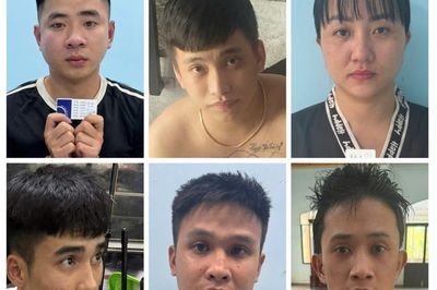Triệt xóa hai đường dây ma túy, bắt giữ 9 đối tượng liên quan