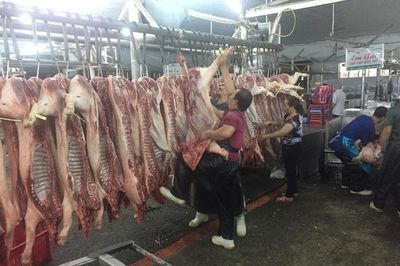 Giá heo hơi hôm nay, 14-6: Chợ đầu mối quay đầu tăng