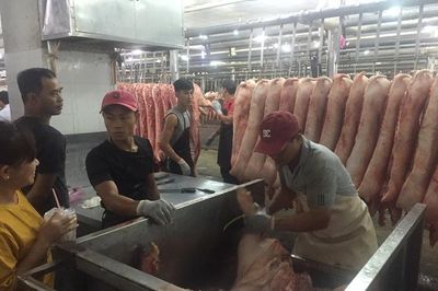 Giá heo hơi hôm nay, 16-6: Chợ đầu mối quay đầu giảm