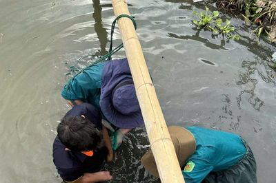 Áp lực cấp nước cho diện tích lúa bị hạn cục bộ