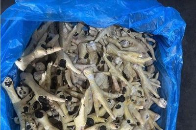 Bắt Giám đốc Công ty XNK An Bình buôn lậu hàng nghìn tấn chân gà đông lạnh