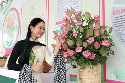 Khi sen trở thành 'đại sứ' giúp địa phương vươn tầm quốc tế