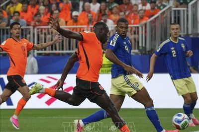 World Cup 2026: 'Cơn lốc da cam' cuốn phăng Thụy Điển