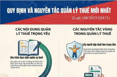 (Infographic) Quy định và nguyên tắc quản lý thuế mới nhất (Luật số 108/2025/QH15)