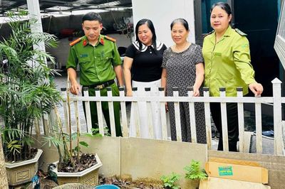 Người dân tự giác giao nộp động vật hoang dã