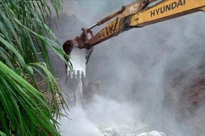 Lâm Đồng tiêu hủy hơn 3.700 con lợn nhiễm dịch tả lợn châu Phi