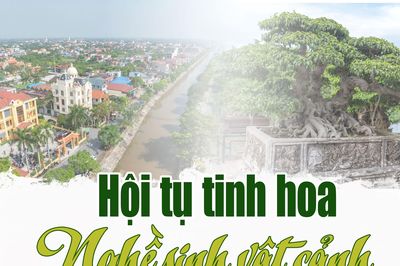 Hội tụ tinh hoa nghề sinh vật cảnh