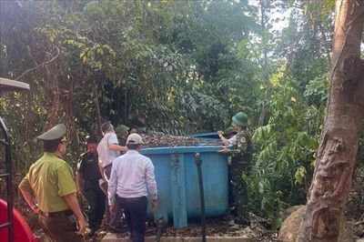 Đặc khu Cồn Cỏ tạm dừng cắm trại, dã ngoại trong và ven rừng để phòng cháy rừng