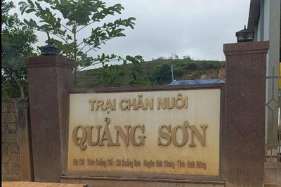Lâm Đồng: Xã Quảng Sơn liên tiếp ra văn bản đôn đốc xử lý trại heo bị phản ánh gây ô nhiễm