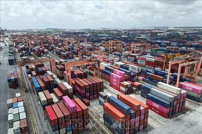 Việt Nam - Một điểm sáng trong chiến lược đầu tư vào các thị trường mới nổi năm 2026