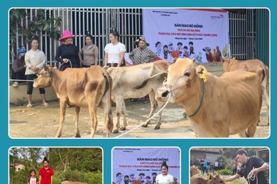 Tiếp sức để hộ nghèo vươn lên