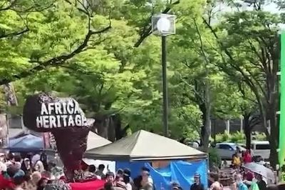 Lễ hội Di sản châu Phi tại Công viên Yoyogi 'hút' khách tham quan