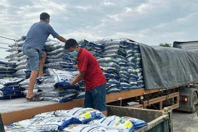 Đảm bảo vật tư cho sản xuất vụ mùa
