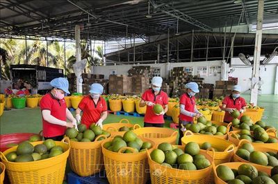 Gia hạn thuế và tiền thuê đất: Tăng dư địa dòng tiền, tiếp thêm động lực cho doanh nghiệp