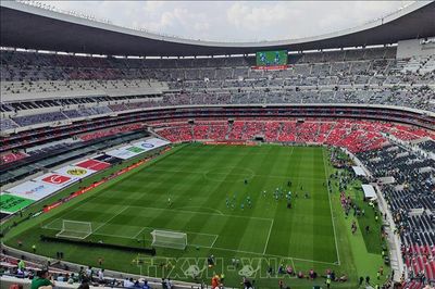 World Cup 2026: Chất lượng mặt sân trở thành thách thức