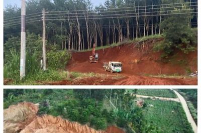 Lâm Đồng tăng cường đấu tranh, ngăn chặn vi phạm trong lĩnh vực tài nguyên, khoáng sản