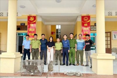 Hải Phòng: Bàn giao các cá thể động vật hoang dã quý, hiếm