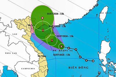 Chủ động ứng phó áp thấp nhiệt đới