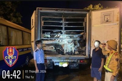 Quảng Ninh: Thu giữ gần 9 tấn da trâu muối không rõ nguồn gốc