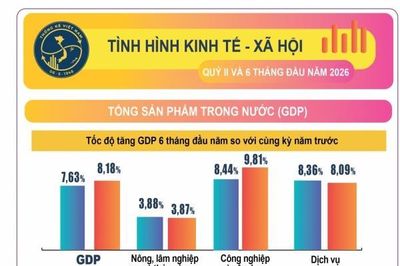 GDP quý II tăng khá gần 8,4%, động lực chính từ công nghiệp - xây dựng