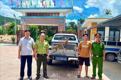 Quảng Trị: Tiếp nhận nhiều động vật hoang dã quý hiếm