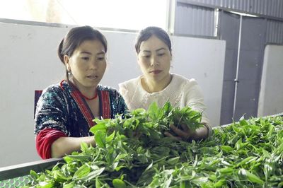 Chìa khóa phát triển nông nghiệp bền vững