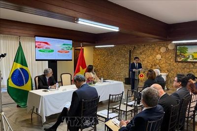 Thúc đẩy trao đổi thương mại, đầu tư Việt Nam - Brazil