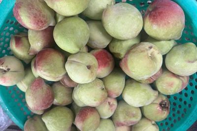 3 nhóm người không nên ăn quả đào