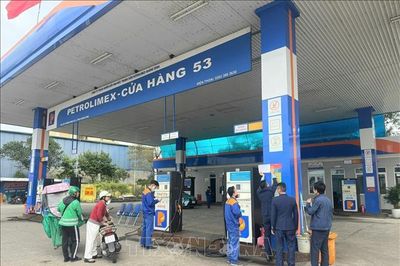 Bộ Khoa học và Công nghệ lưu ý gì về chất lượng xăng E10?