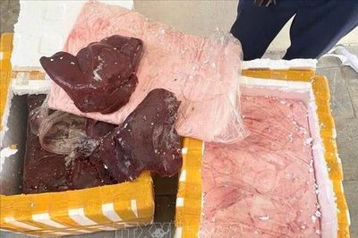 Xử phạt và tiêu hủy 148 kg sản phẩm động vật không rõ nguồn gốc