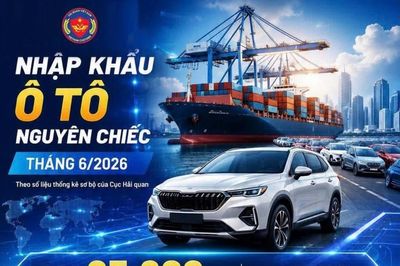 Ô tô nguyên chiếc nhập khẩu tăng gần 8%, xe tải bứt tốc