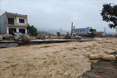 Mưa lớn trong đêm, cảnh báo lũ quét ở Lào Cai, Tuyên Quang và Quảng Ngãi
