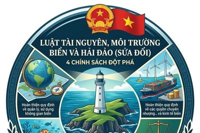 Chính phủ thông qua 4 chính sách lớn định hình Luật Tài nguyên, môi trường biển và hải đảo (sửa đổi)