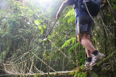 Số vụ tai nạn tăng cao, Malaysia siết hoạt động hiking