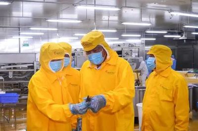 Tỉnh Cà Mau cam kết đồng hành cùng Công ty Minh Phú Khánh An phát triển sản xuất