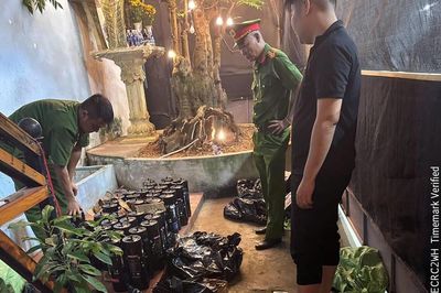 Cơ sở kinh doanh quán bar tàng trữ gần 100 bình khí N₂O, nhiều hóa đơn liên quan 'bóng cười'