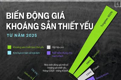 Giá các loại khoáng sản quan trọng thay đổi thế nào trong hơn 1 năm qua?