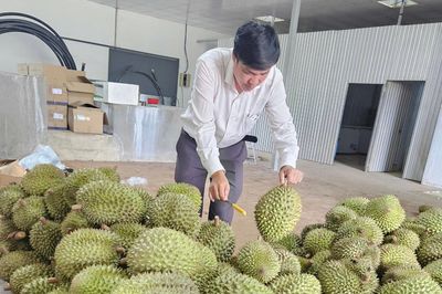 Mã số vùng trồng: Cam kết chất lượng của nông sản xuất khẩu