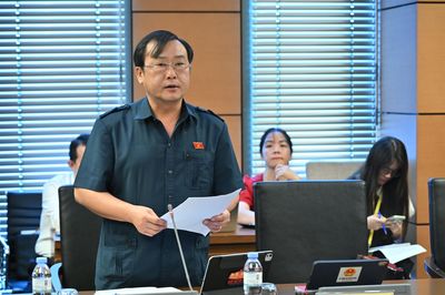 ĐBQH tỉnh góp ý hoàn thiện quy định về thú y, tài nguyên nước và khoáng sản