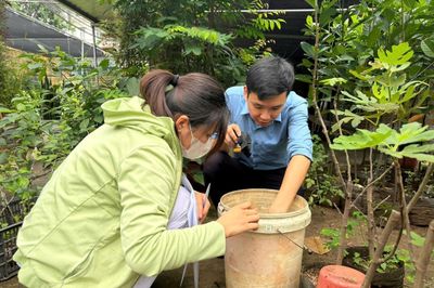 Dịch sốt xuất huyết bước vào cao điểm, các địa phương Hà Nội tăng cường kiểm tra phòng dịch